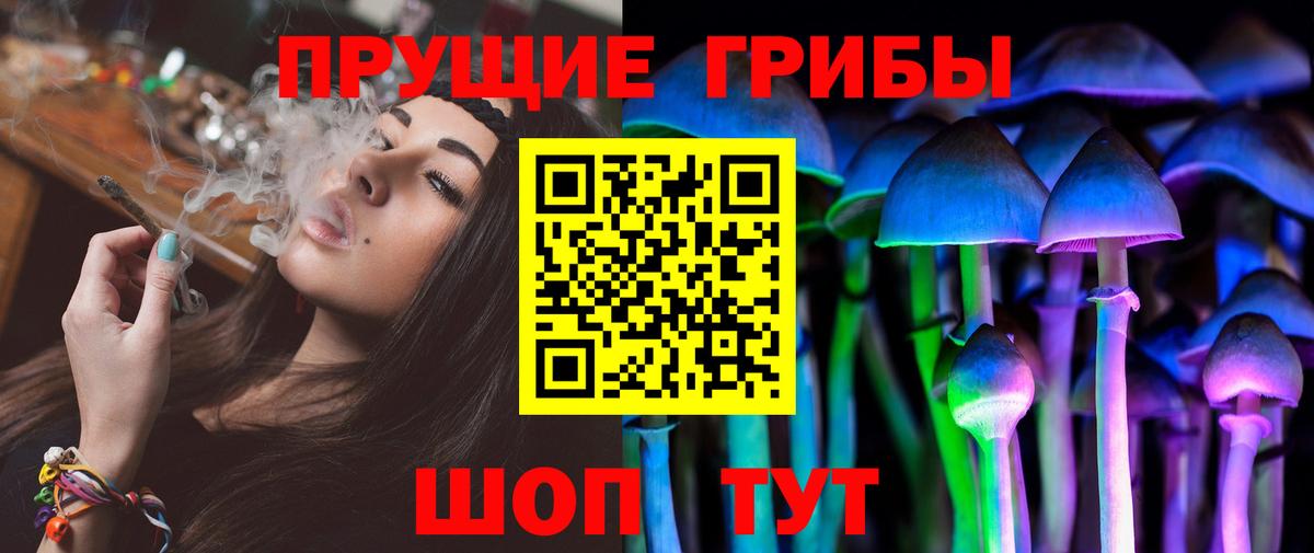 Мирный  Галлюциногенные грибы MAGIC MUSHROOMS  Вход с VPN 